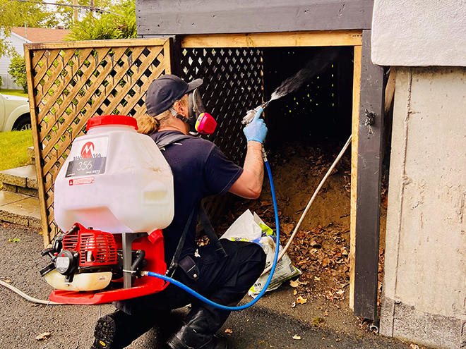 Exterminateur, traitement extérieur.